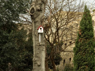 Kuşlar için bekleyen sonbahar parkta iç içe geçmiş kutusu