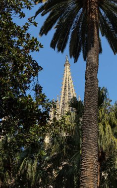 palmiye ağaçlarının arkasından gökyüzü manzarasına karşı katedral in spire