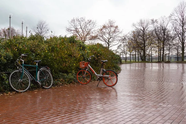 Велосипеды Осеннем Парке Людей Дождем Фоне Зеленых Кустов — стоковое фото