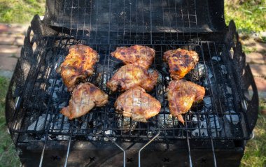 ızgarada ızgara tavuk, Barbekü tavuk, mangal üzerinde Barbekü ve bahçede doğada kömürleri patates