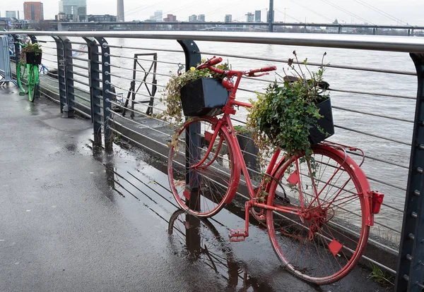 Сломанные Велосипеды Ретро Цвета Корзинами Цветов Набережной Дождем — стоковое фото