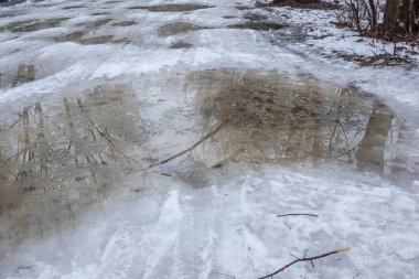 Kış yolundaki ağaçların ve dalların yansımasıyla kocaman bir su birikintisi. Bulutlu bir günde kış doğal arka planı