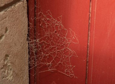 eski kırmızı kapı örümcek web arka plan, closeup, tarih