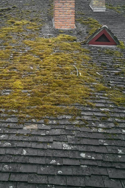 kısmen siyah kiremit ve yosun ile antik çatı