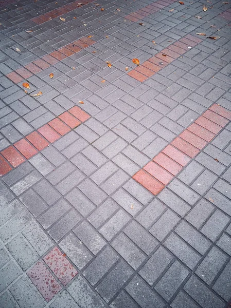 Fondo Otoño Baldosas Pavimentación Gris Rojo Después Lluvia Parte Peatonal —  Fotos de Stock