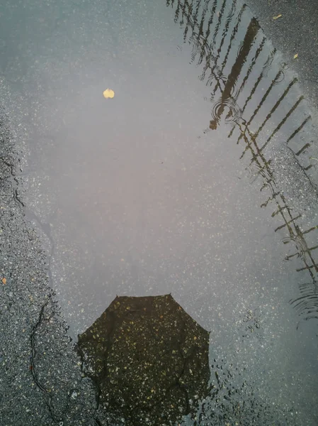 Abstracte Herfst Plas Achtergrond Reflectie Een Plas Van Paraplu Hek — Stockfoto