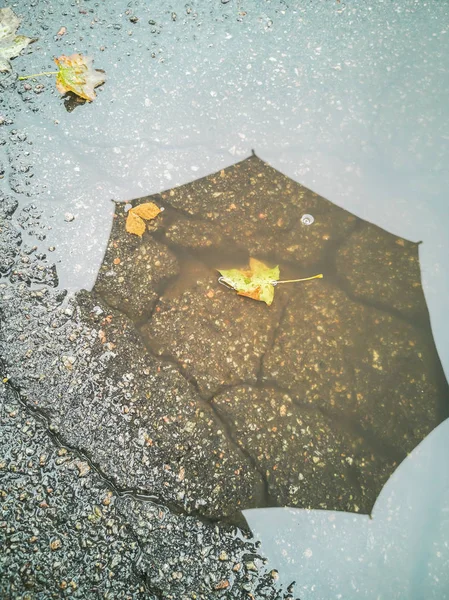 Von Oben Herbst Pfütze Hintergrund Reflexion Einer Pfütze Aus Regenschirm — Stockfoto