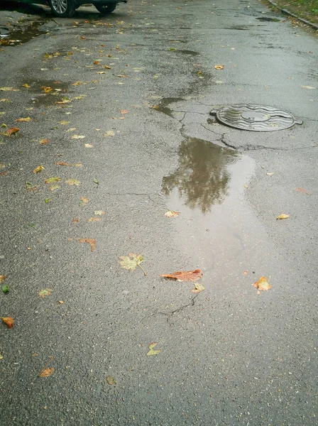 Väg Efter Regn Pöl Med Reflektion Ett Träd Löv Våt — Stockfoto