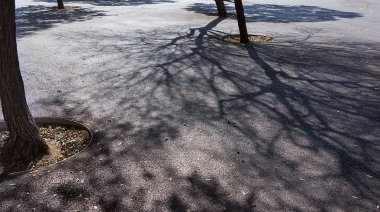 Asfalttaki ağaç dallarının soyut gölgelerinin kaldırımları