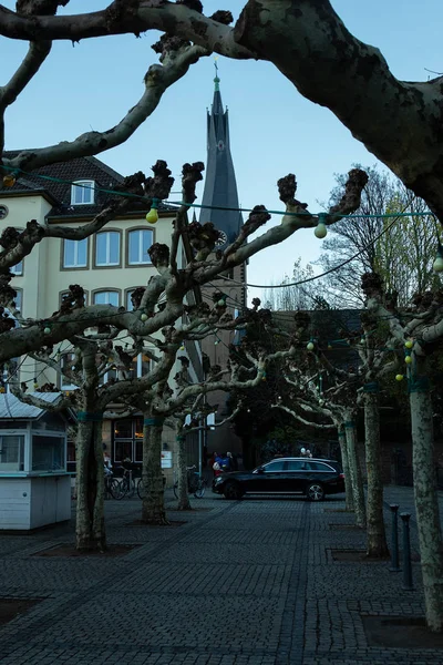 Blick Auf Die Kirche Durch Stämme Und Äste Auf Dem — Stockfoto