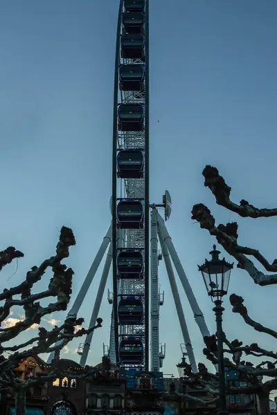 Riesenrad Auf Abstraktem Hintergrund Zwischen Ästen Und Abendhimmel — Stockfoto