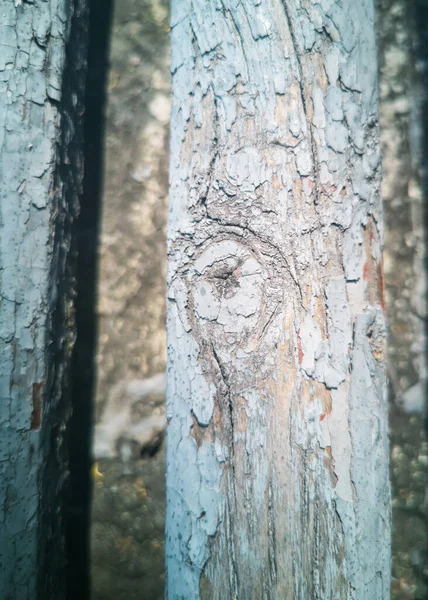 Αφηρημένο Ξύλινο Φόντο Παλιό Χρώμα Ξύλινες Σανίδες Θολή Υφή Ξύλου — Φωτογραφία Αρχείου