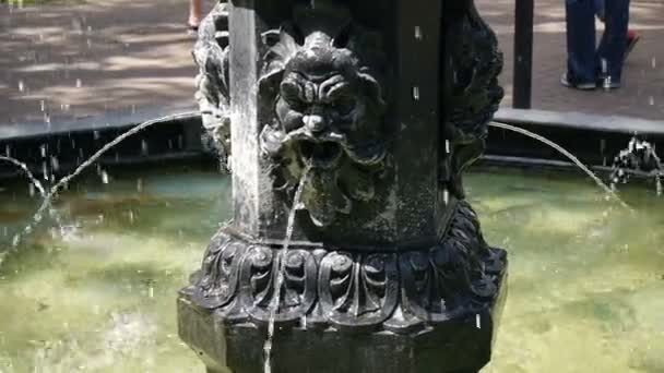 Primer plano de salpicaduras de agua. saliendo de una fuente elegante verde y bronce, durante un brillante día de verano . — Vídeo de stock