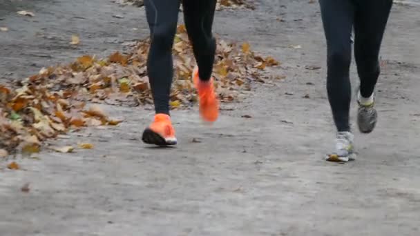 Nahaufnahme der Füße von Menschen, die im Herbst durch den Park laufen. — Stockvideo