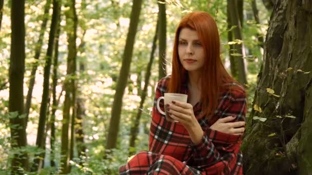 Young woman in a park or in the forest drinking coffee or tea from a cup. — Stock Video