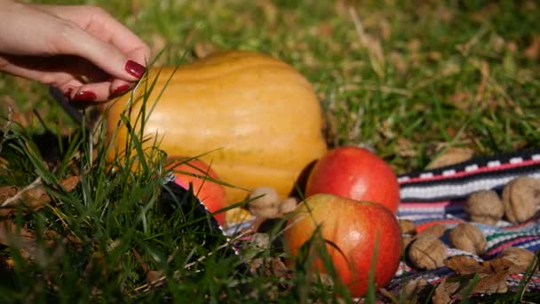 Girl examines and picks up an apple. Close-up. Pumpkin in the background. — Stock Video