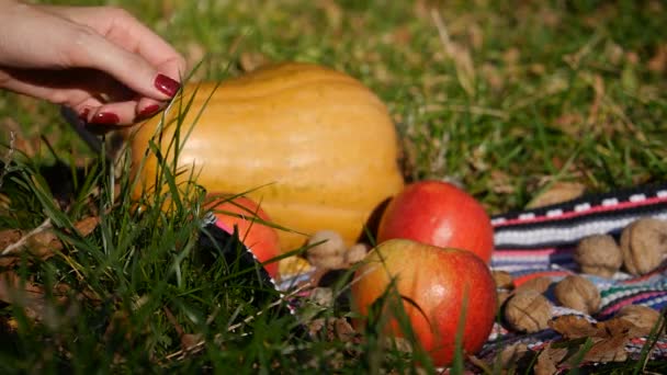 Flickan undersöker och plockar upp ett äpple. Närbild. Pumpa i bakgrunden. — Stockvideo