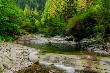 kayalık dağ Nehri ile gür yeşilliklerle çevrili doğal görünümü