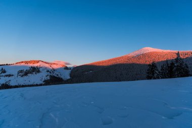 Yüksek ağaçlar ile Amazing dağ manzarası