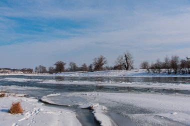 dondurulmuş kırsal gölet ve ağaçlar, kış 
