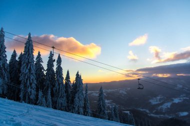 Çam ağaçları ve bulutlu gökyüzü arka plan şaşırtıcı doğa manzaralı
