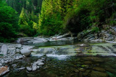 kayalık dağ Nehri ile gür yeşilliklerle çevrili doğal görünümü