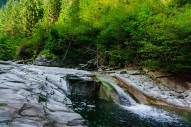 kayalık dağ Nehri ile gür yeşilliklerle çevrili doğal görünümü
