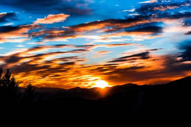 ön plan üzerinde çam ağaçları ile bulutlu gökyüzü günbatımı