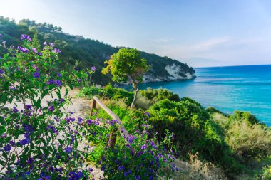 Mavi lagün büyüleyici doğa manzaralı  