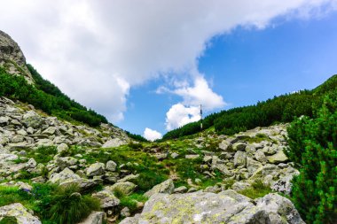 Yeşil ve mavi bulutlu gökyüzü ile büyüleyici doğa dağ manzaralı