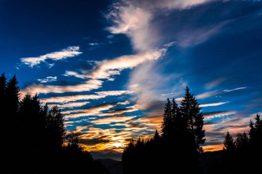 ön plan üzerinde çam ağaçları ile bulutlu gökyüzü günbatımı