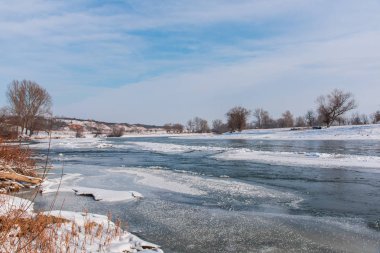 dondurulmuş kırsal gölet ve ağaçlar, kış 