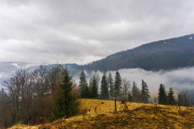 Bulutlu gökyüzü arka plan şaşırtıcı doğa manzaralı