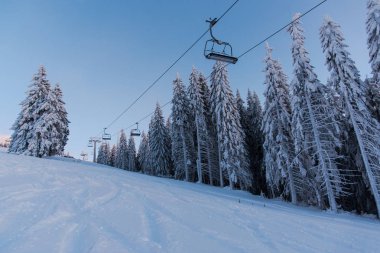 Çam ağaçları ve bulutlu gökyüzü arka plan şaşırtıcı doğa manzaralı