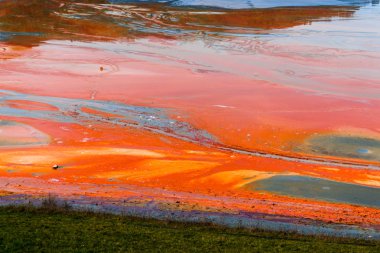 Turuncu renkli nehir ve çevresinde yeşil ağaçlar harika doğa manzaralı