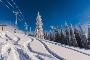 Yüksek ağaçlar ile Amazing dağ manzarası