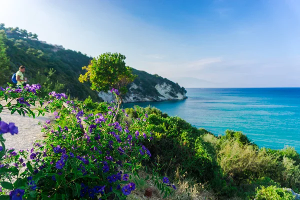 Fascinante Vista Naturaleza Con Laguna Azul — Foto de Stock