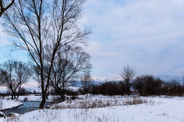 Countryside Nature River Trees Winter Season — Stock Photo, Image