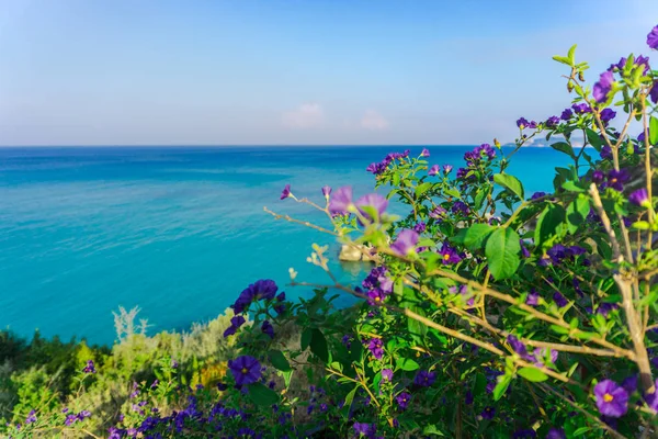 Affascinante Vista Sulla Natura Con Laguna Blu — Foto Stock