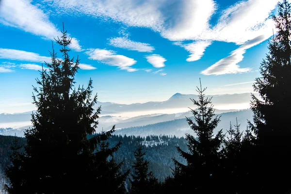 Wintersportort Den Bergen Mit Waldbäumen Und Himmel Mit Wolken — Stockfoto