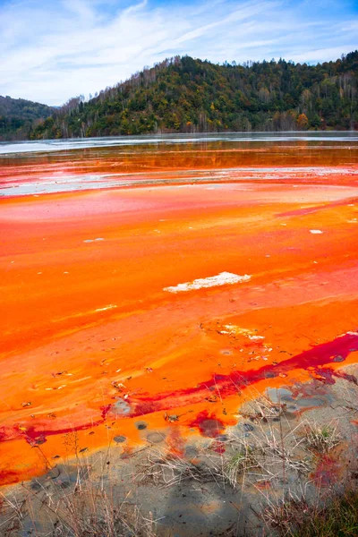 Impresionante Vista Naturaleza Con Río Color Naranja Árboles Verdes Alrededor — Foto de Stock