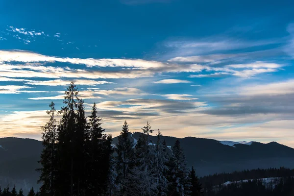 Pilvinen Auringonlasku Taivas Mäntyjä Etualalla — kuvapankkivalokuva