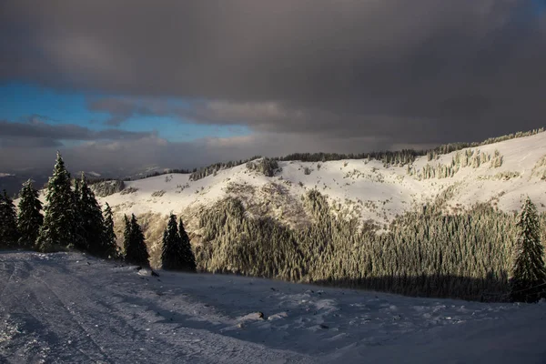 Geweldig Uitzicht Bergen Met Hoge Bomen — Stockfoto