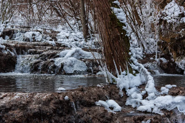 Estanque Campo Congelado Árboles Invierno — Foto de Stock