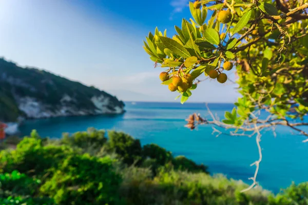 Vue Imprenable Sur Nature Avec Lagune Bleue — Photo