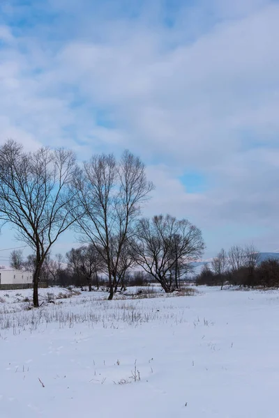 Landskab Natur Med Snedækket Landskab Træer - Stock-foto