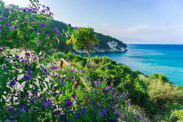 Fascinerende Weergave Van Natuur Met Blauwe Lagune — Stockfoto