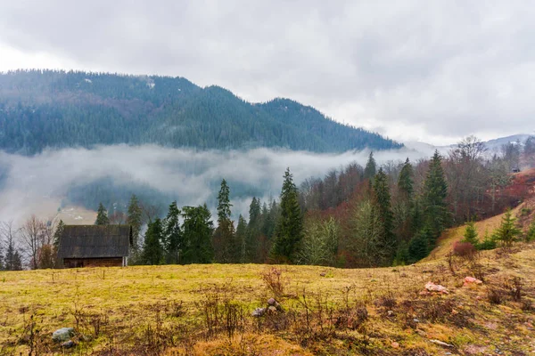 Niesamowity Widok Góry Wysokimi Drzewami — Zdjęcie stockowe