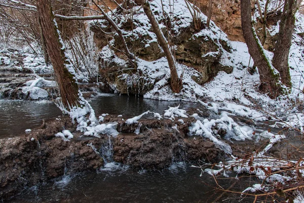 Eau Courante Rivière Neige Forêt Nature — Photo