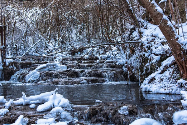 Agua Congelada Del Río Ramas Árboles — Foto de Stock
